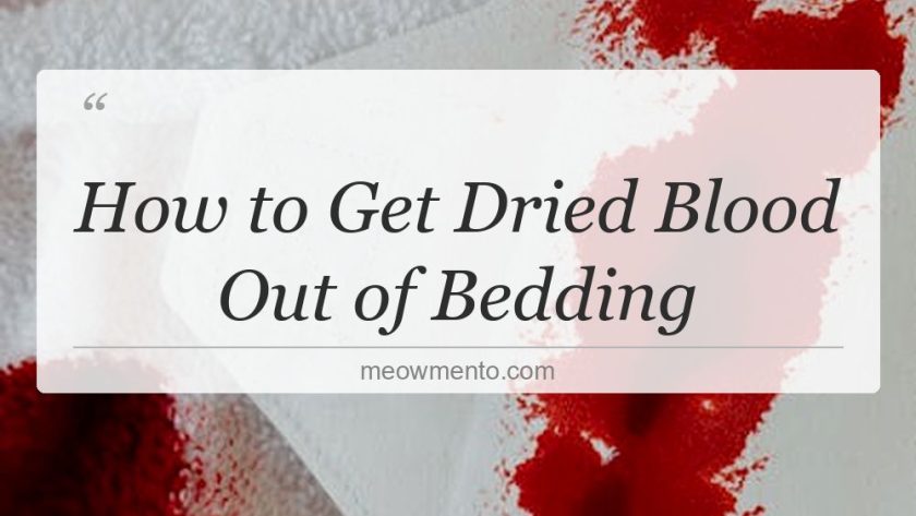 how to get dried blood out of bedding