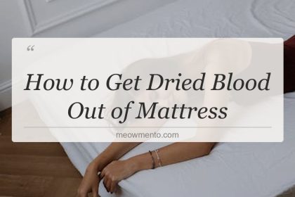 how to get dried blood out of mattress