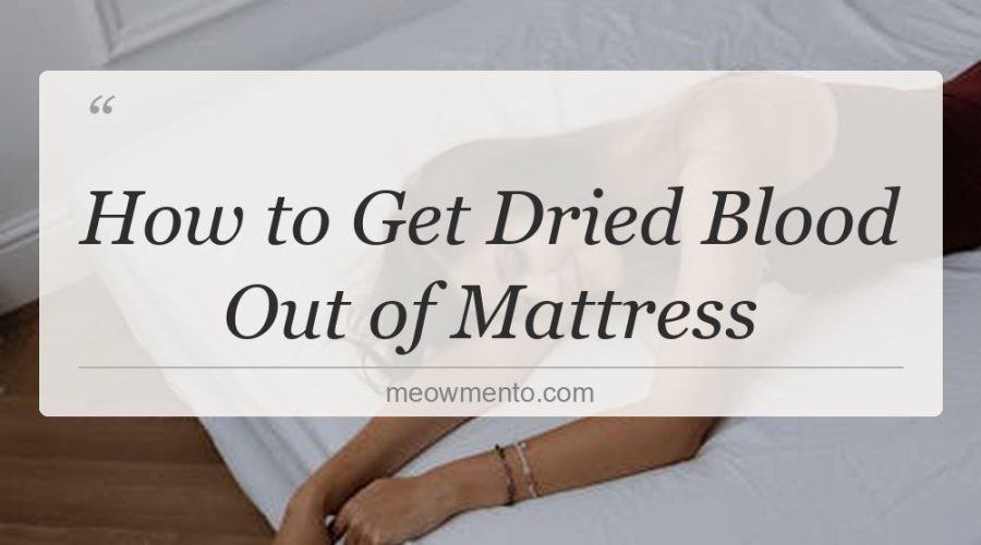 how to get dried blood out of mattress