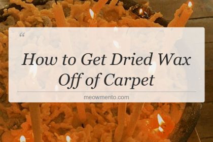 how to get dried wax off of carpet