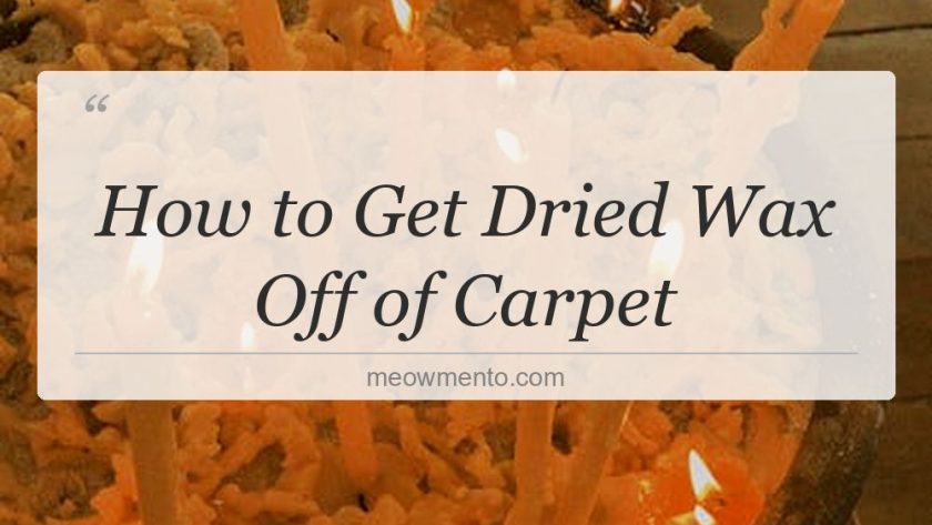 how to get dried wax off of carpet