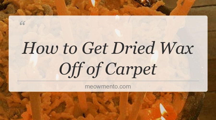 how to get dried wax off of carpet