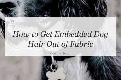 how to get embedded dog hair out of fabric