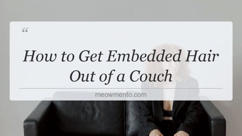 how to get embedded hair out of a couch