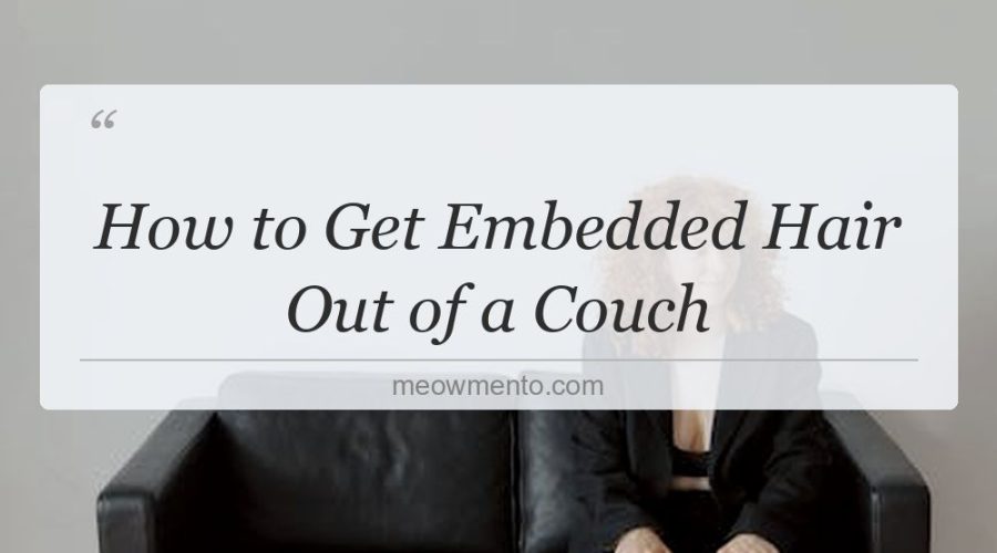 how to get embedded hair out of a couch