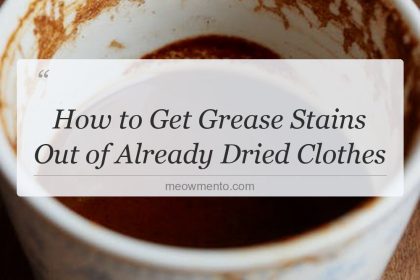 how to get grease stains out of already dried clothes