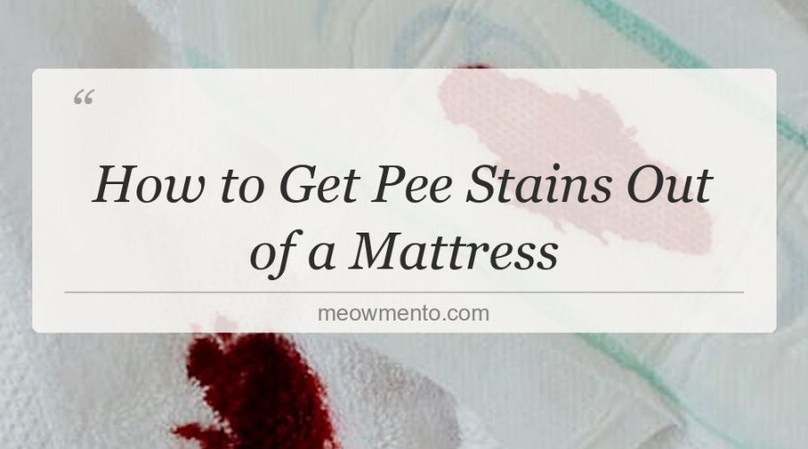 how to get pee stains out of a mattress