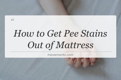how to get pee stains out of mattress