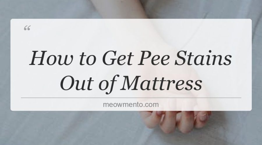 how to get pee stains out of mattress
