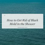 how to get rid of black mold in the shower