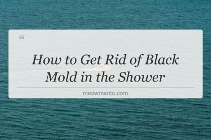 how to get rid of black mold in the shower