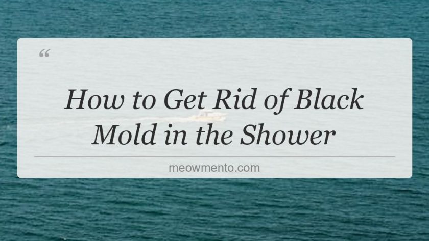 how to get rid of black mold in the shower