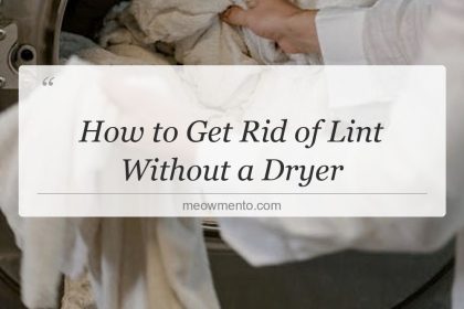 how to get rid of lint without a dryer