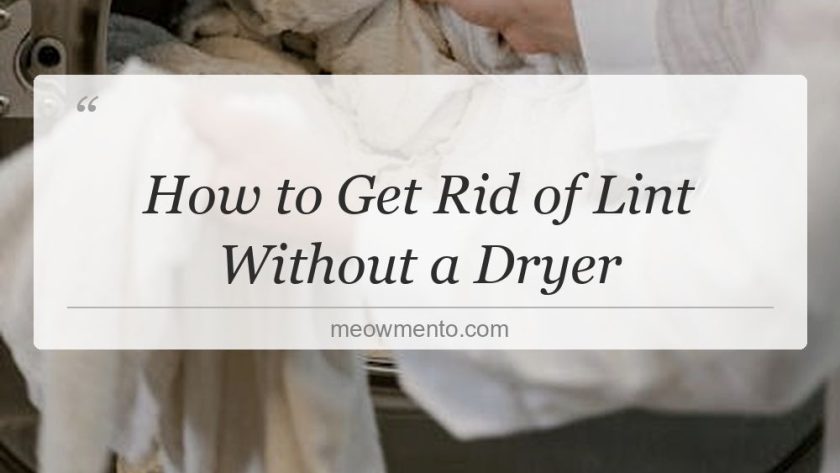how to get rid of lint without a dryer
