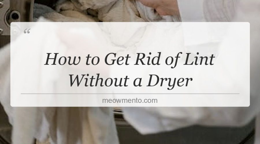 how to get rid of lint without a dryer