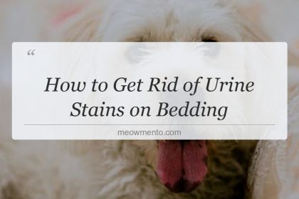 how to get rid of urine stains on bedding