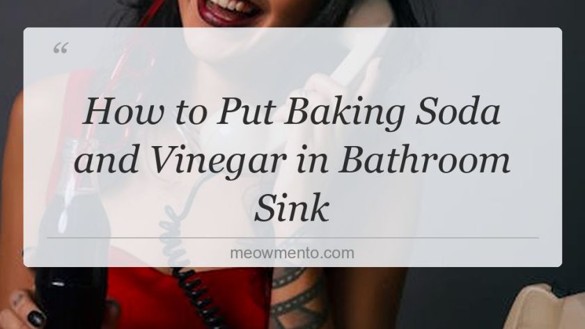 how to put baking soda and vinegar in bathroom sink