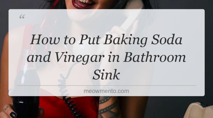how to put baking soda and vinegar in bathroom sink