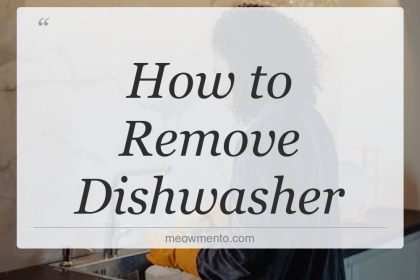 how to remove dishwasher