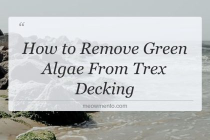 how to remove green algae from trex decking