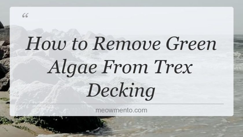 how to remove green algae from trex decking