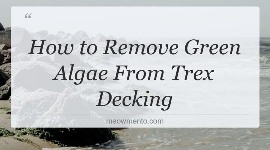 how to remove green algae from trex decking