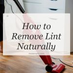 how to remove lint naturally