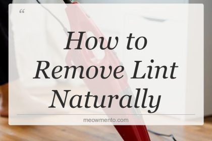 how to remove lint naturally