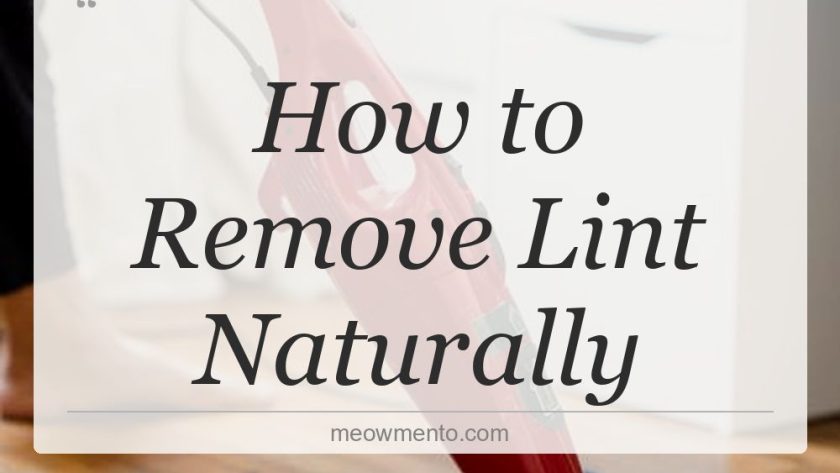 how to remove lint naturally