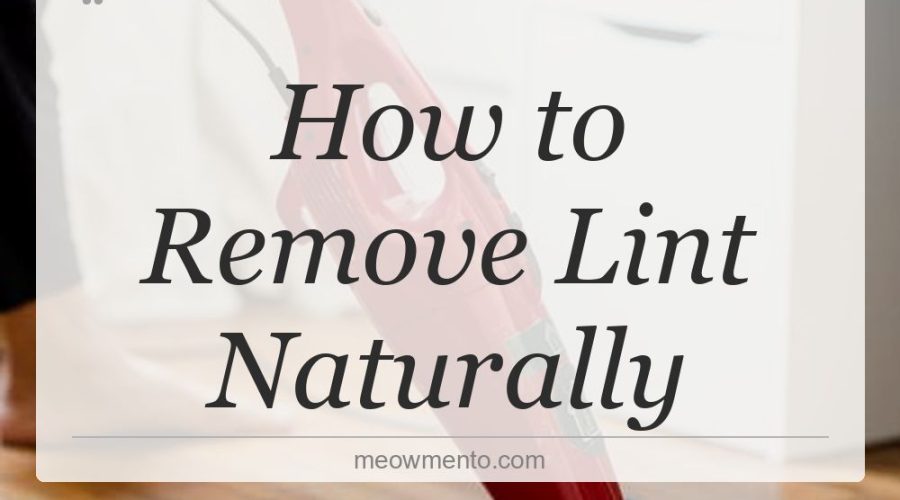 how to remove lint naturally
