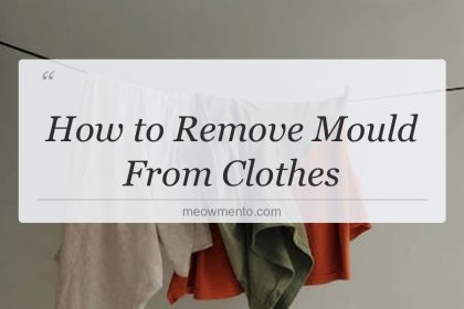 how to remove mould from clothes