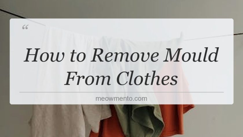 how to remove mould from clothes