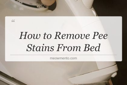 how to remove pee stains from bed