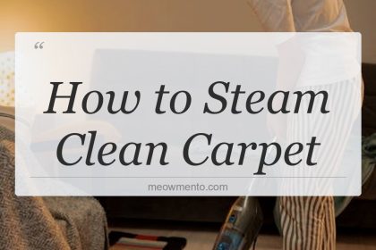 how to steam clean carpet