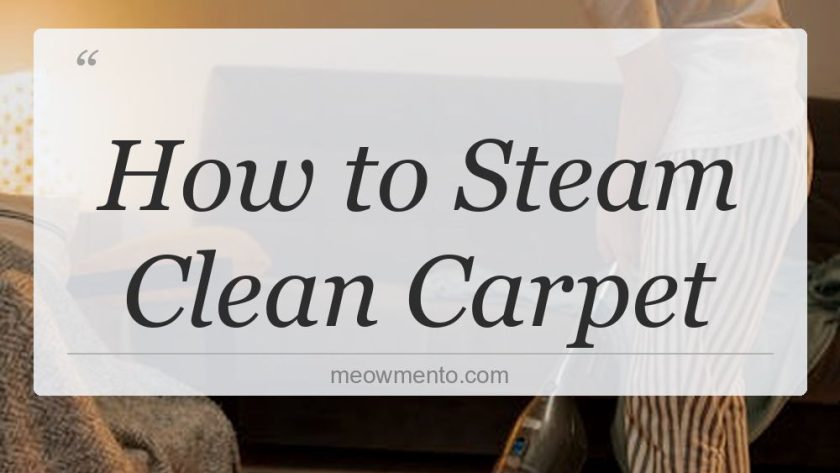 how to steam clean carpet