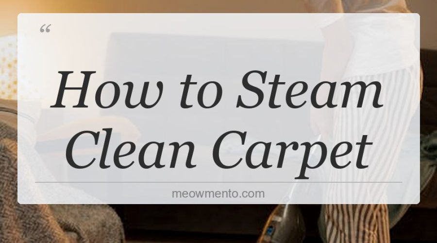 how to steam clean carpet