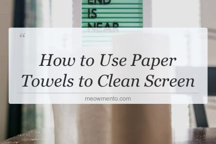 how to use paper towels to clean screen