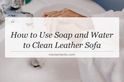 how to use soap and water to clean leather sofa