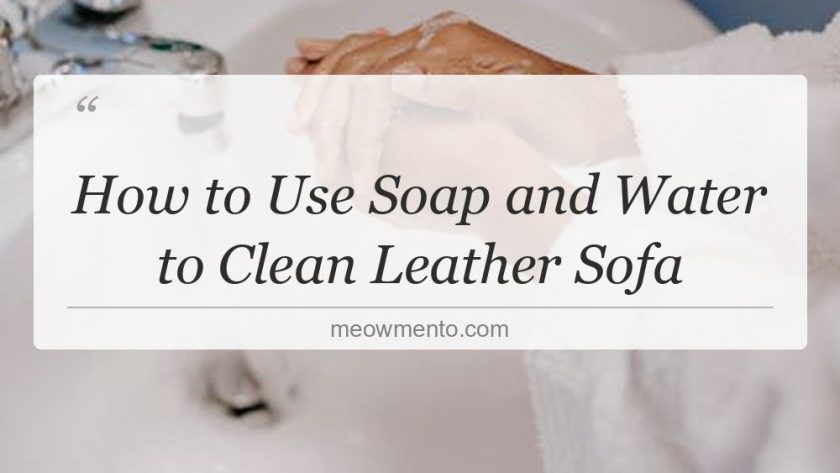 how to use soap and water to clean leather sofa