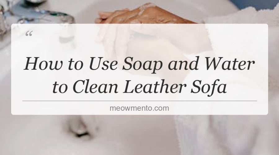 how to use soap and water to clean leather sofa