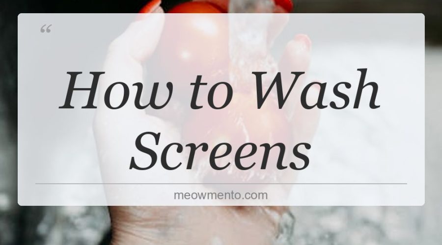 how to wash screens