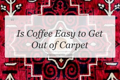 is coffee easy to get out of carpet