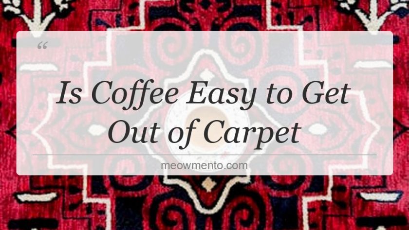 is coffee easy to get out of carpet
