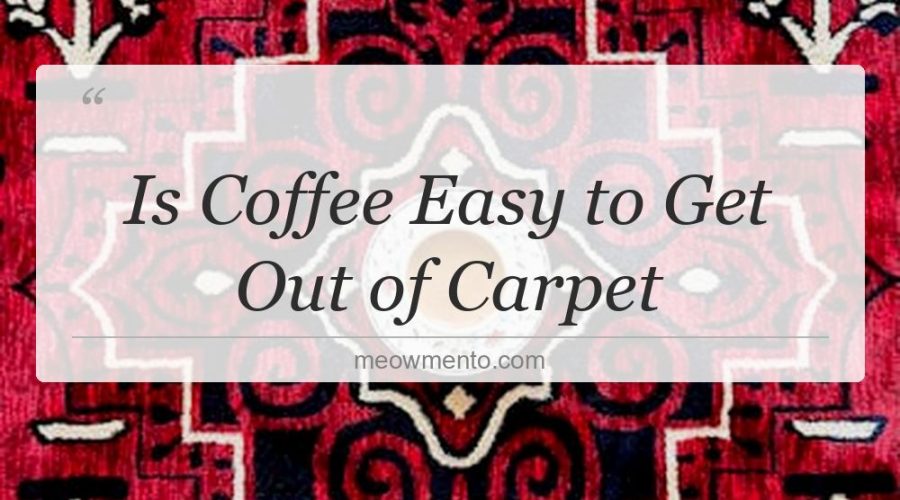 is coffee easy to get out of carpet