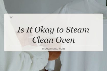 is it okay to steam clean oven