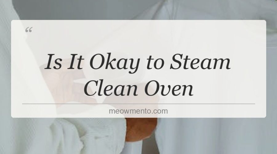 is it okay to steam clean oven