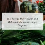 is it safe to put vinegar and baking soda in a garbage disposal