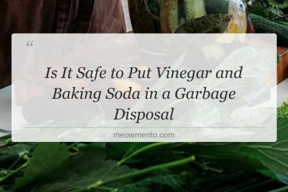 is it safe to put vinegar and baking soda in a garbage disposal