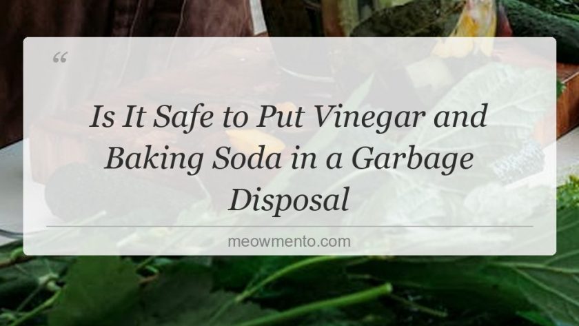 is it safe to put vinegar and baking soda in a garbage disposal