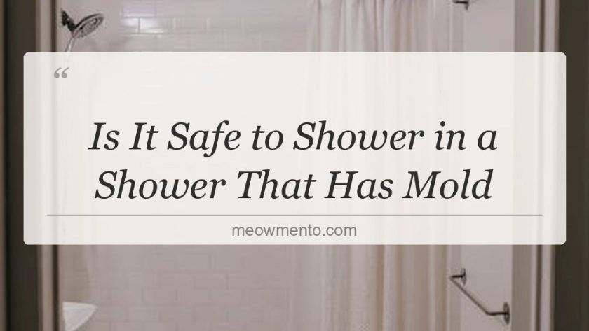 is it safe to shower in a shower that has mold